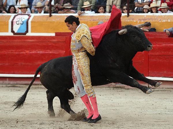 Abrochando con valor