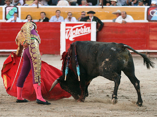 Codicia y obediencia