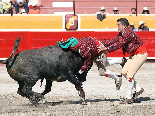 Los forcados mexicanos