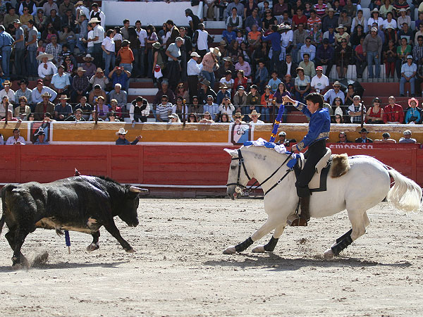 Plasticidad y elegancia