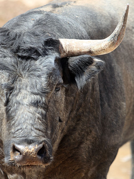 Las cosas bien hechas