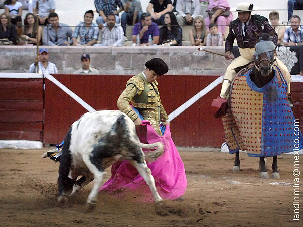 Dej�ndolo al caballo de Isabel