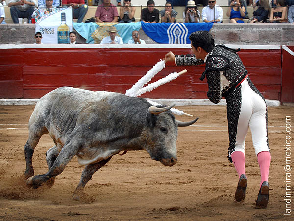 Viol�n tlaxcalteca