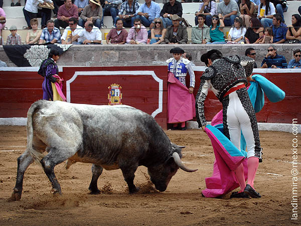 Navarras en el quite