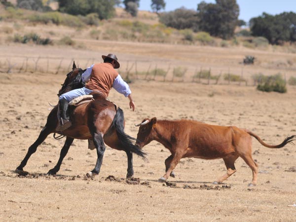 Sergio Hern�ndez, tambi�n a caballo