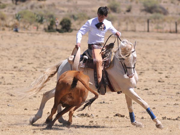 Luis Pimentel, templando