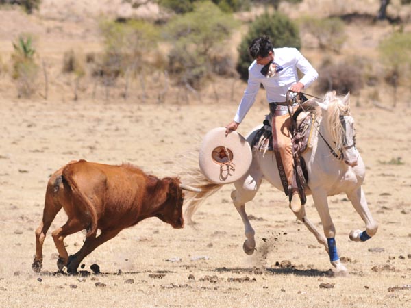 De charro, Luis Pimentel