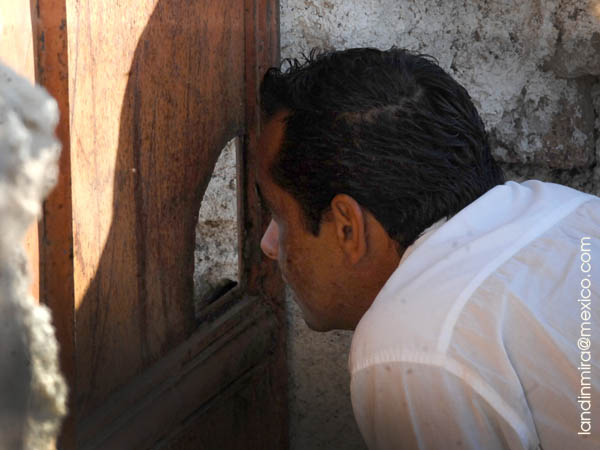 Escogiendo el ejemplar