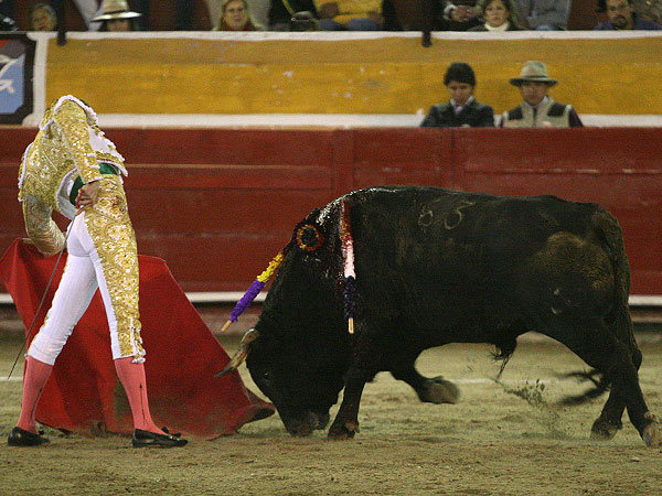 El toro embest�a con calidad