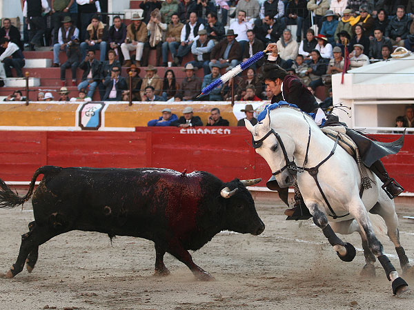 Dejando la banderilla