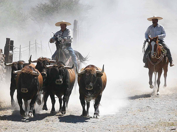 Ejercitndose en el taurdromo