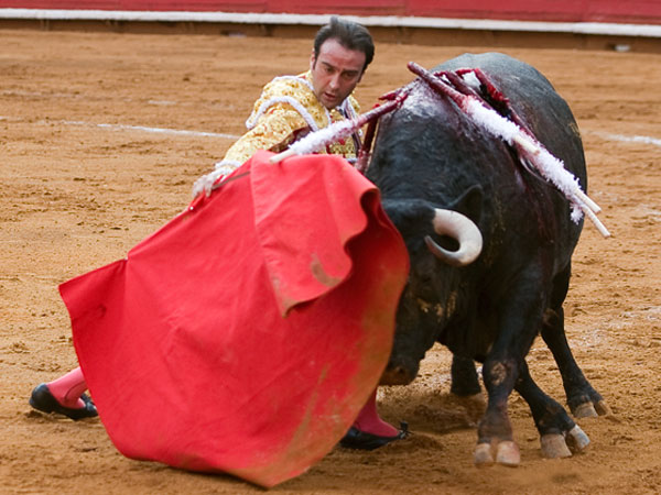 As� les tapa la cara: perfecto