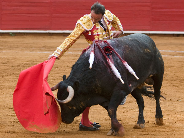 Metiendo la embestida