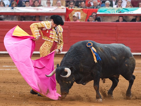 Gust�ndose en la media ver�nica