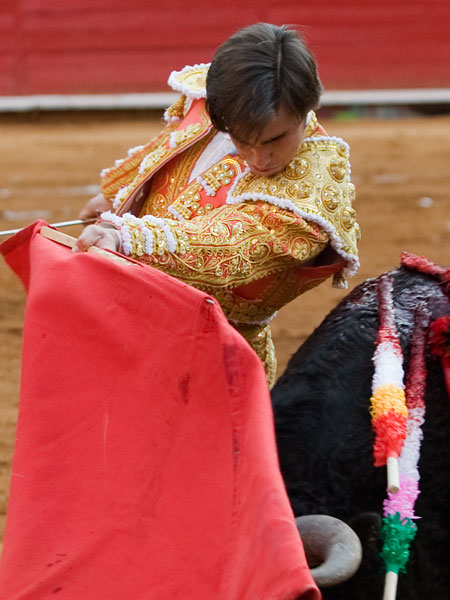 El toro, por debajo del codo