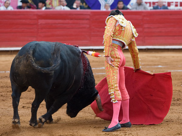 Sentimiento y temple