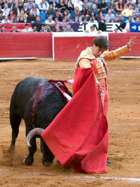 Verticalidad en la capetillina