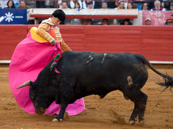 Chicuelina en los medios