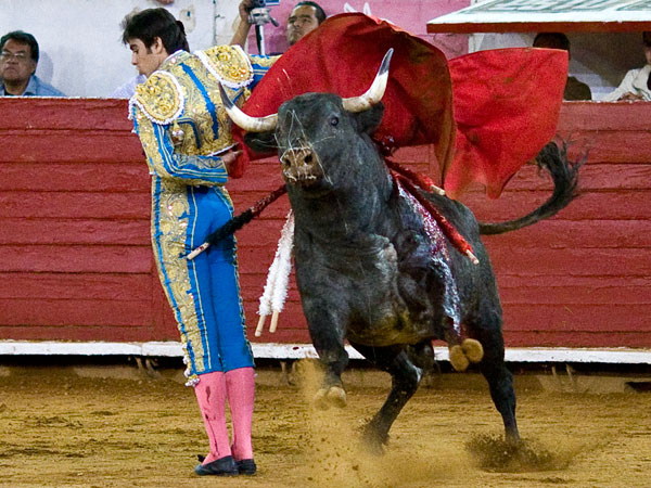 Manoletinas, le gustan