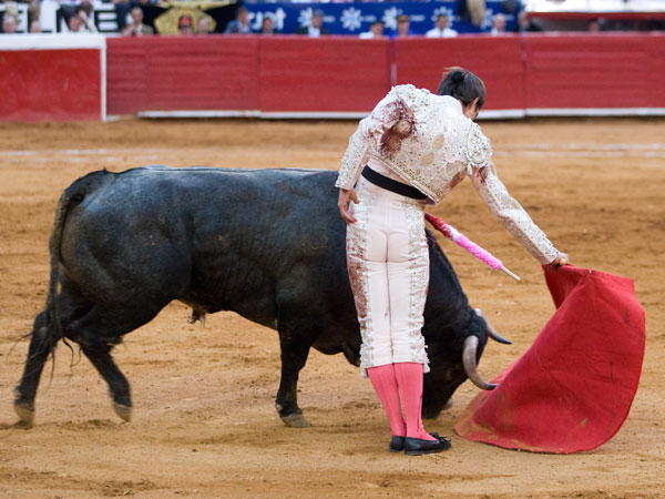 Enganchando con los vuelos