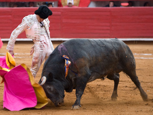 Emoci�n con el capote