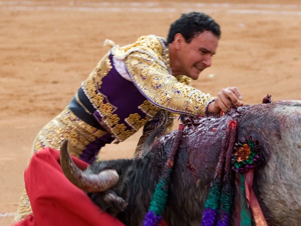 La solvencia de la espada