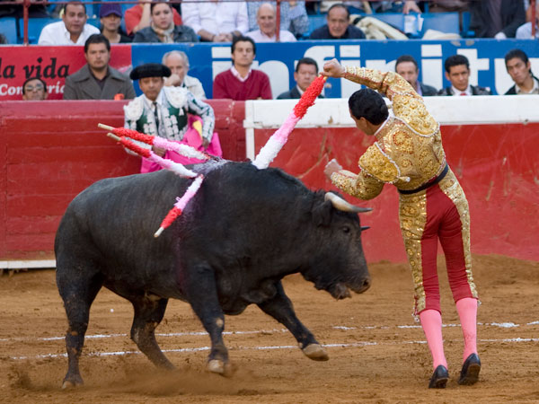 Un viol�n al quiebro en los medios