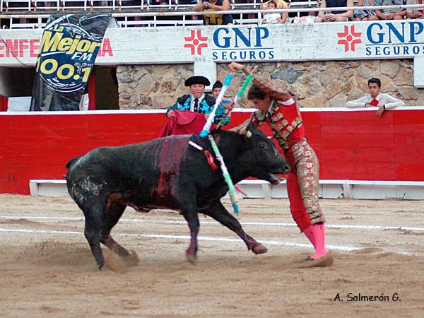 El pit�n en el pecho