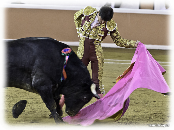 As� reapareci� Gerardo Adame