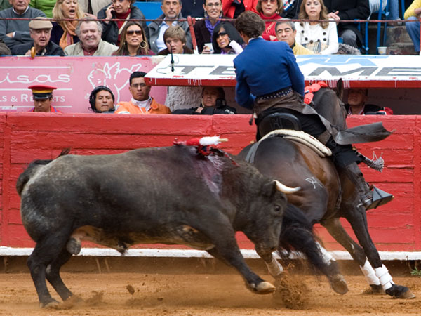 Una recorte con torer�a