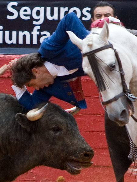 El adorno del tel�fono