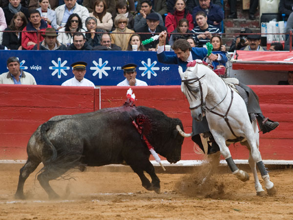 Dejando llegar la embestida