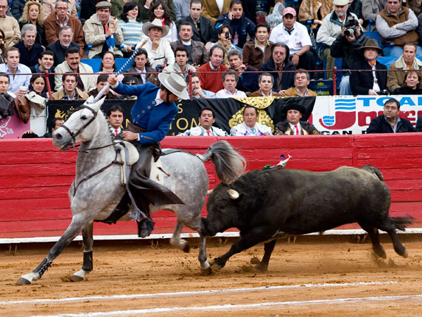 Corriendo al toro por delante