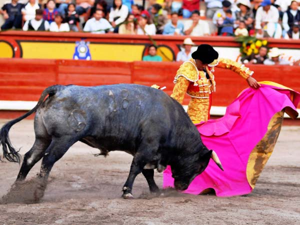 El capote de Rafael Ortega