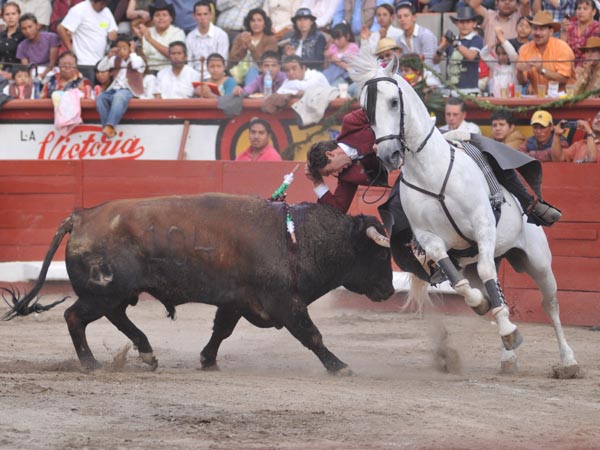 Hermoso usando el celular