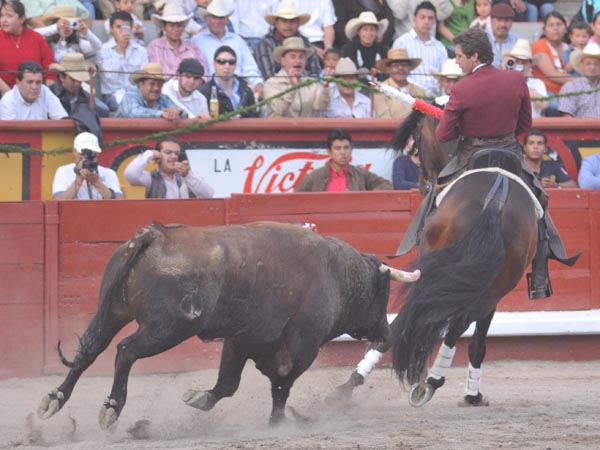 Toreando con las ancas