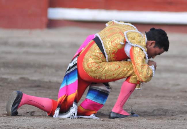 Agradecido y besando su tierra