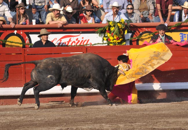 Ortega valeroso con la capa