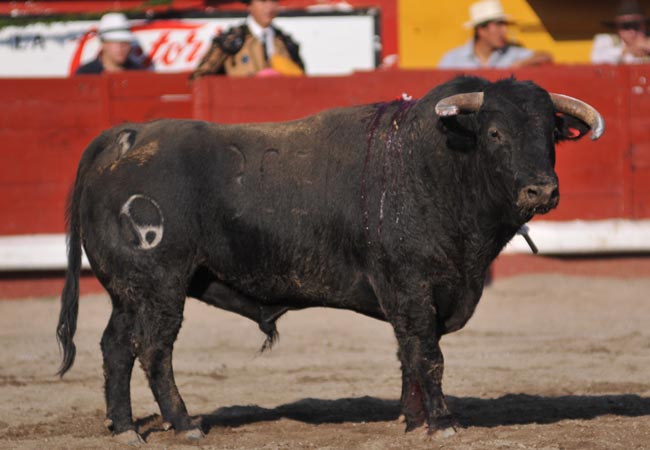 Con toda la barba el de Rancho Seco