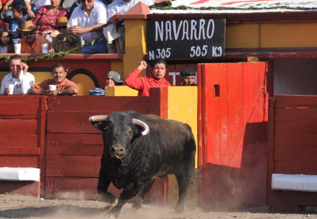 Un Navarro para un estells