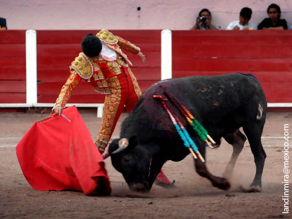 Derechazo de Fernando