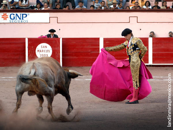 Saludo en la boca del riego