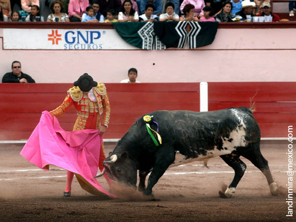 El capote de Labastida