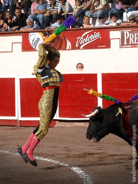 El Canelo en banderillas
