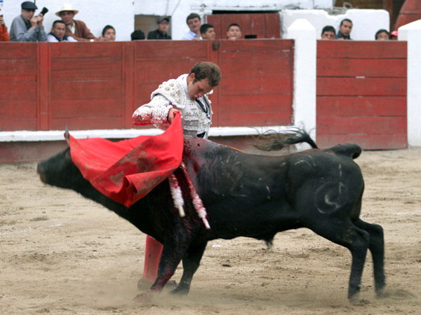 Barri�ndole los lomos