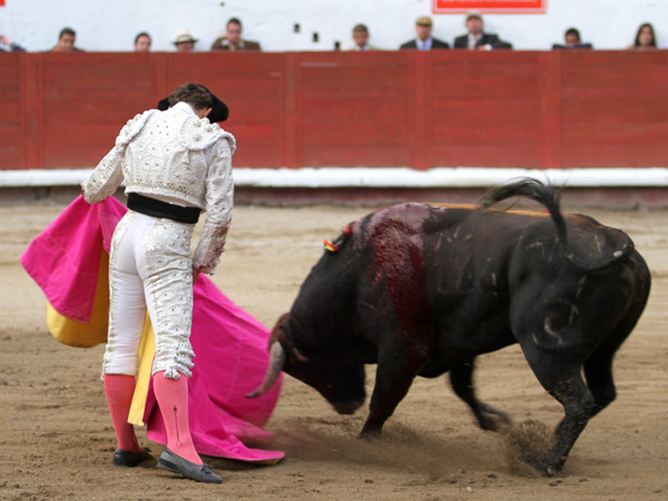 Cadenciosa ver�nica