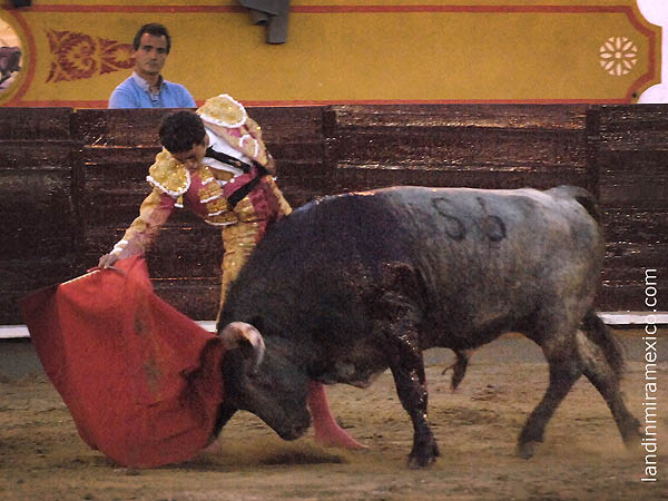 La calidad de la embestida