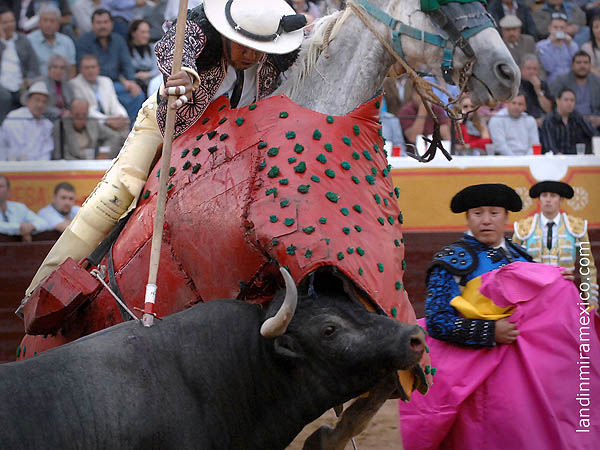 Lleg� desde Ixtapalapa