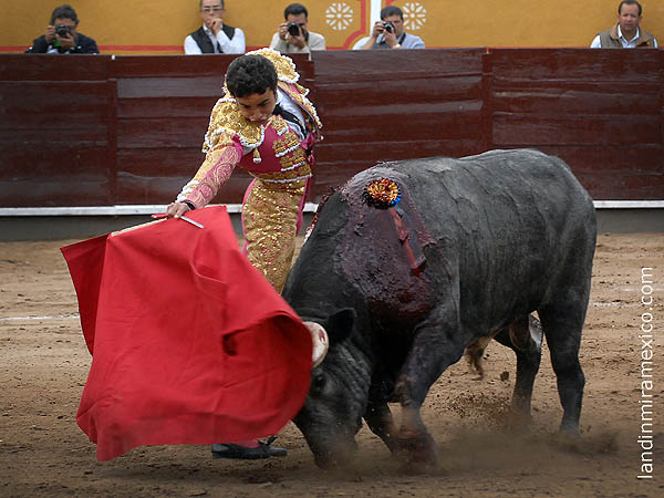 Dominio de las alturas