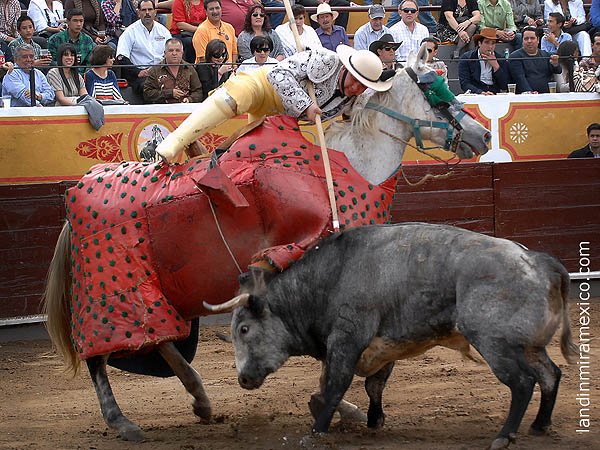 La vara de Luis Miguel